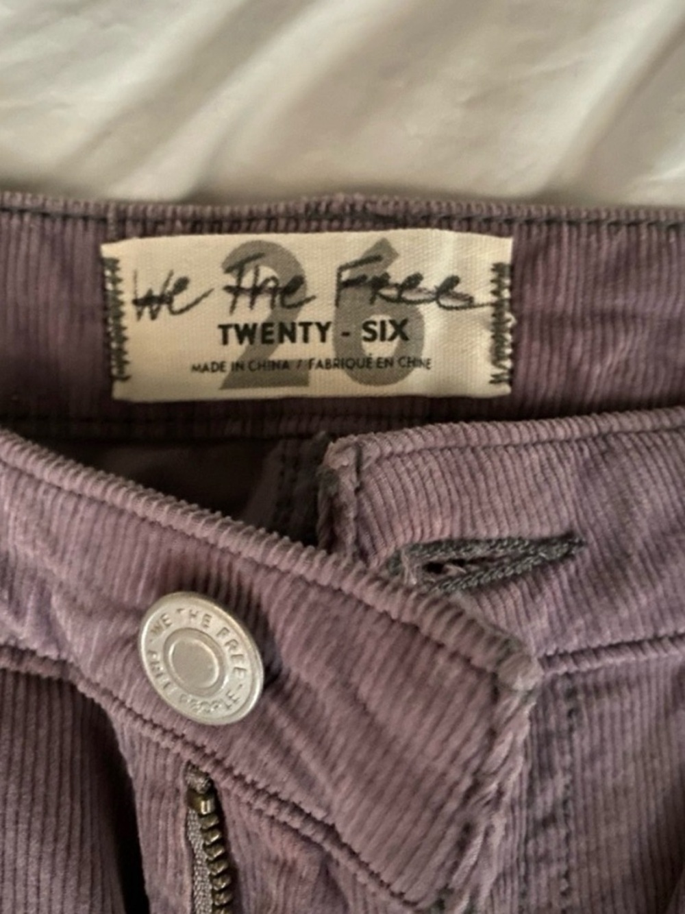 We The Free People Corduroy Pants in Dusty Mauve
